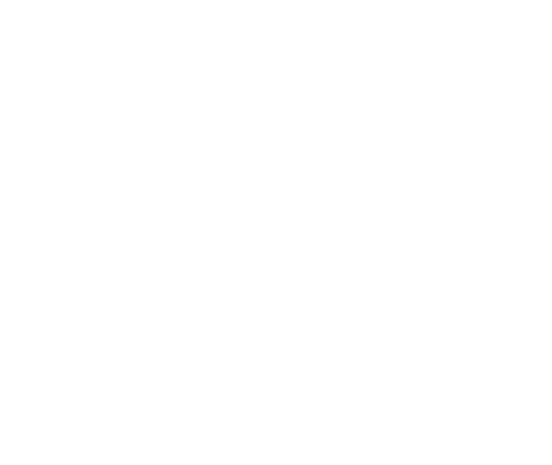 Zhugen Boiler Logo